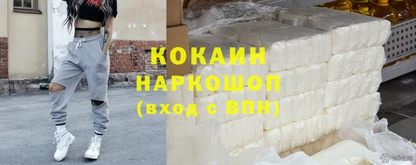 шишки Абаза