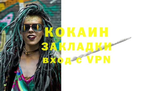 шишки Абаза