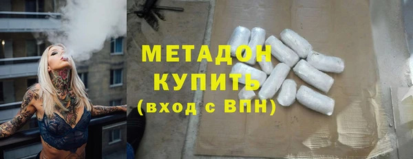 шишки Абаза