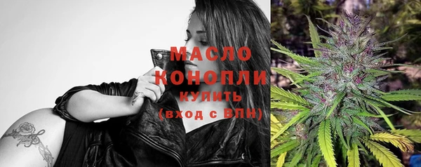 шишки Абаза
