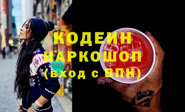 шишки Абаза