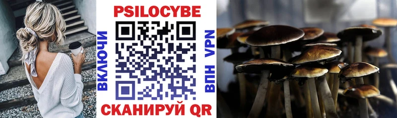 Галлюциногенные грибы Psilocybe  маркетплейс состав  Кировград 