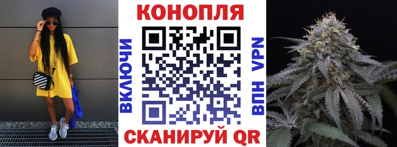 площадка формула  Кировград  Бошки марихуана план 